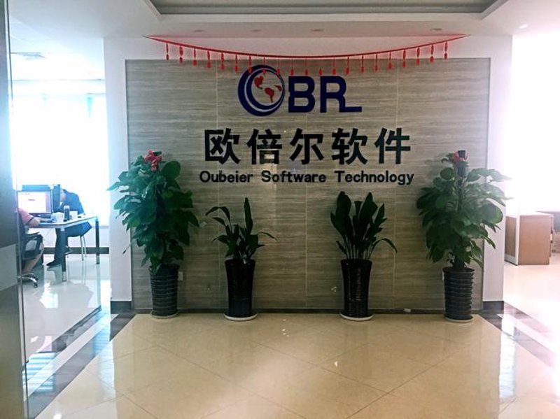 企业在数字化转型中如何高效利用ERP系统定制服务